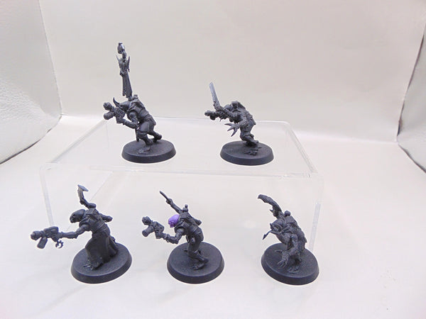 Acolyte Hybrids