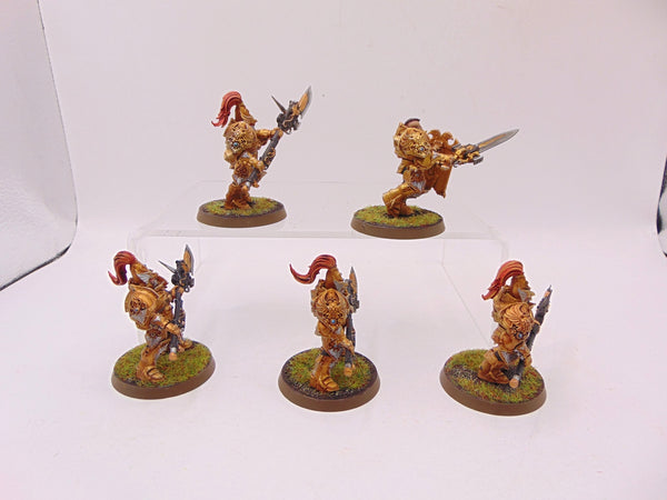 Custodian Guard