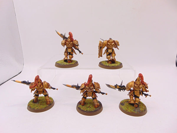 Custodian Guard