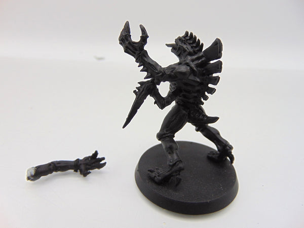 Broodlord
