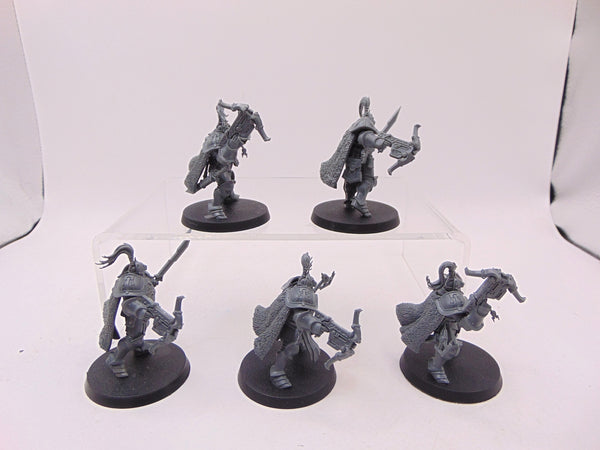 Vanguard Hunters