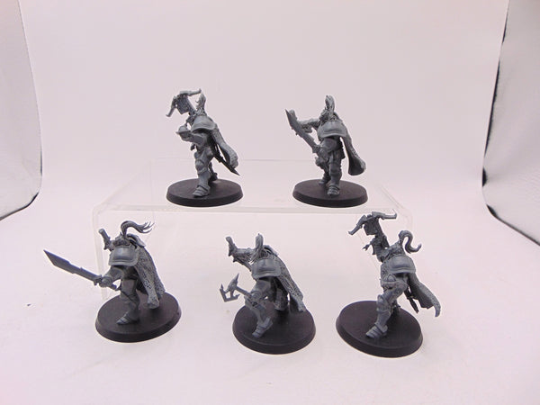 Vanguard Hunters