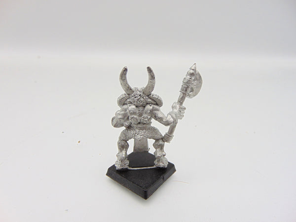 Chaos Beastmen Regiment Leader