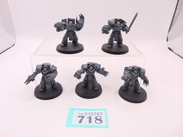 Cataphractii Terminator Squad