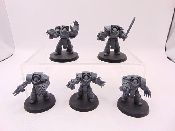 Cataphractii Terminator Squad