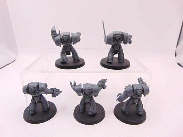 Cataphractii Terminator Squad
