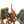 Winged Tyranid Prime