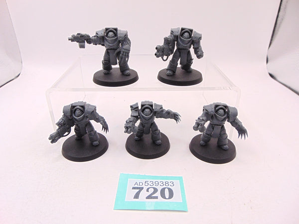 Cataphractii Terminator Squad