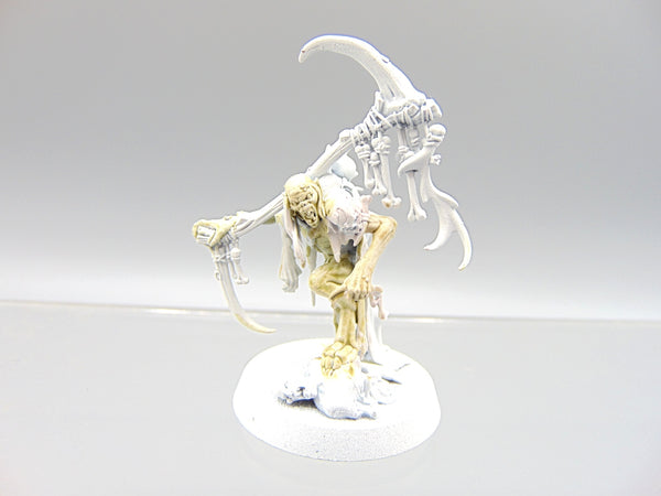 Marrowscroll Herald