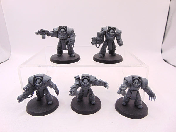 Cataphractii Terminator Squad