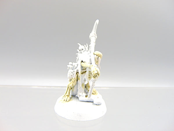 Marrowscroll Herald