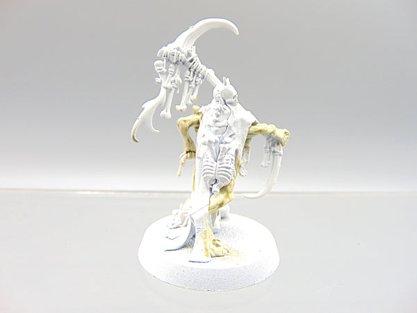 Marrowscroll Herald