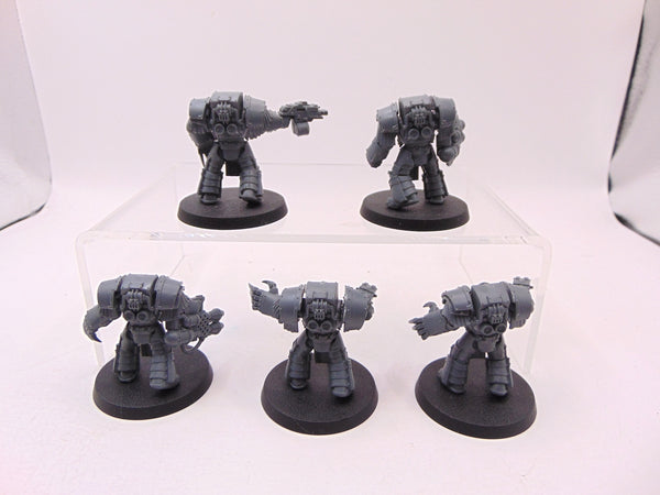 Cataphractii Terminator Squad