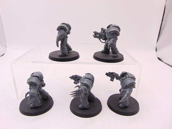 Cataphractii Terminator Squad