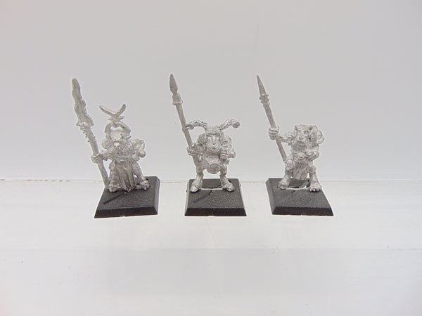 Iron Claw Beastmen with Beastman of Slaanesh