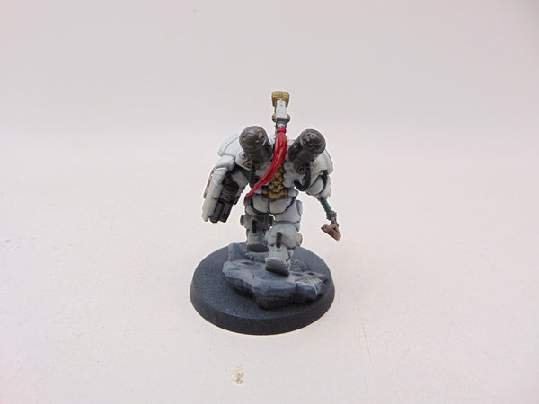 Einhyr Champion