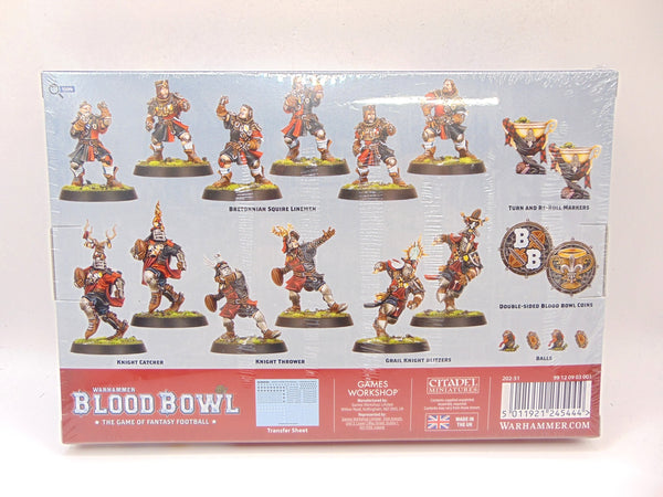 Bretonnian Blood Bowl Team: The Brionne Barons