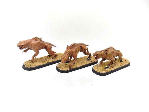 Hounds of Xaphan