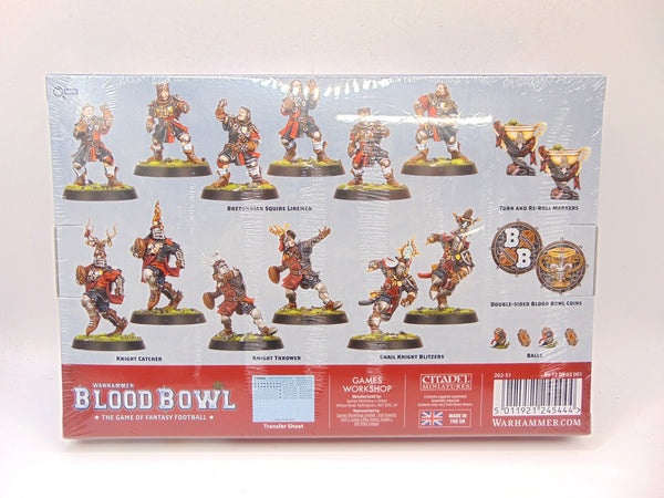 Bretonnian Blood Bowl Team: The Brionne Barons