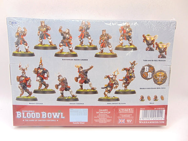 Bretonnian Blood Bowl Team: The Brionne Barons