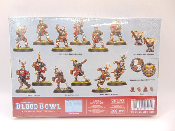 Bretonnian Blood Bowl Team: The Brionne Barons