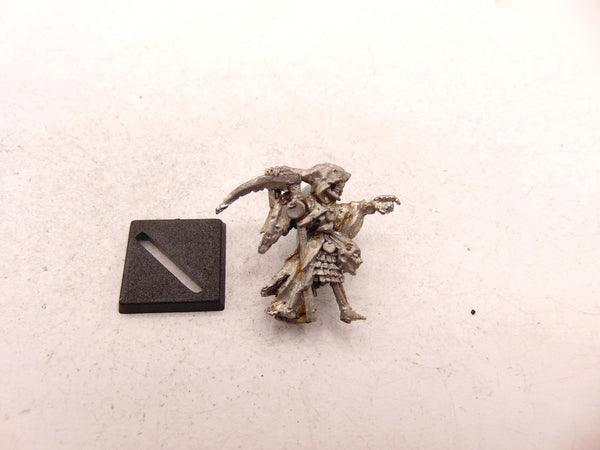 Undead Skeleton Champion