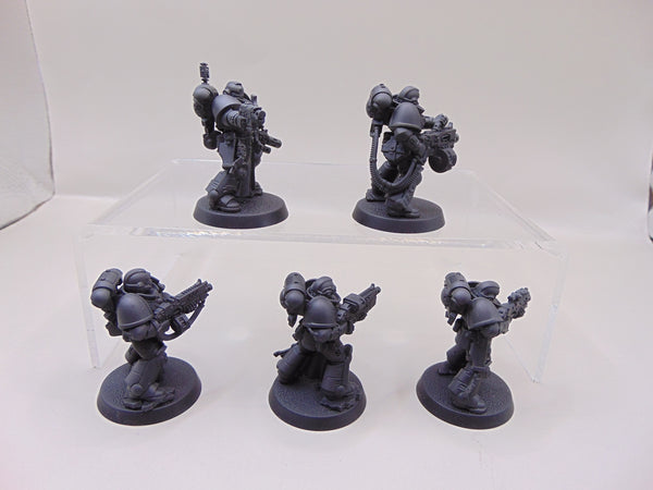 Sternguard Veterans