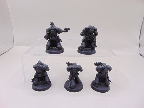 Sternguard Veterans