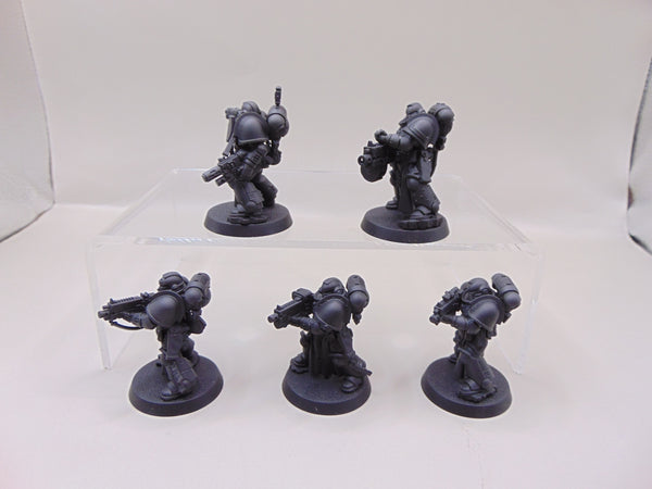 Sternguard Veterans