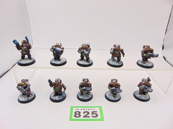 Hearthkyn Warriors