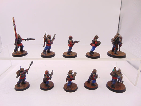 Neophyte Hybrids