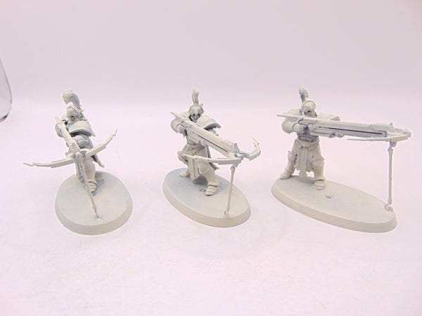 Vanguard Raptors
