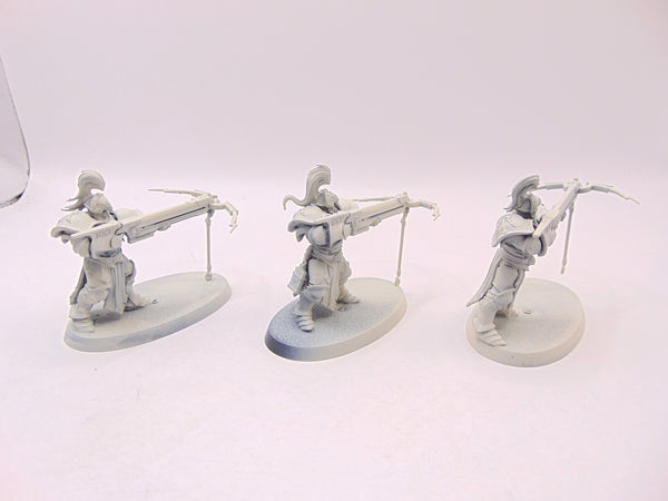Vanguard Raptors