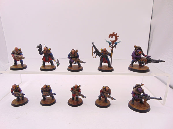 Neophyte Hybrids