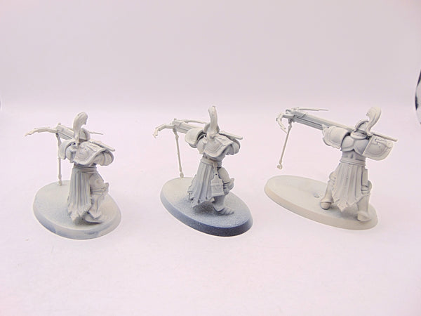Vanguard Raptors