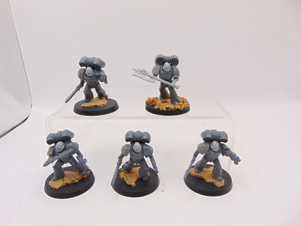 Legion MKVI Assault Squad