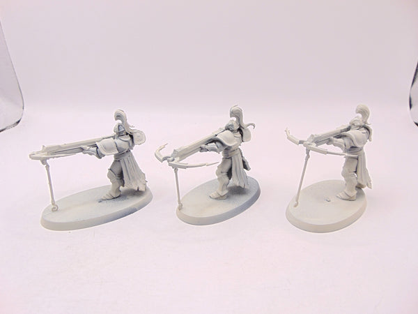 Vanguard Raptors