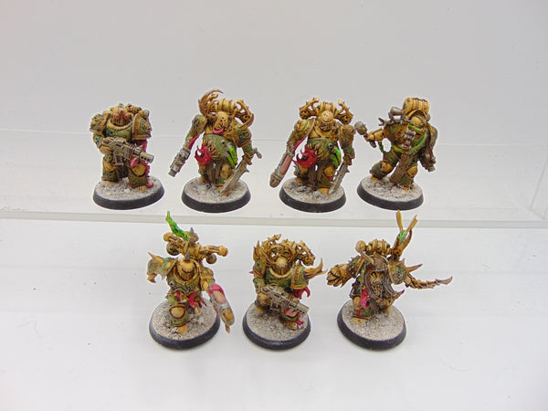 Plague Marines & Champion