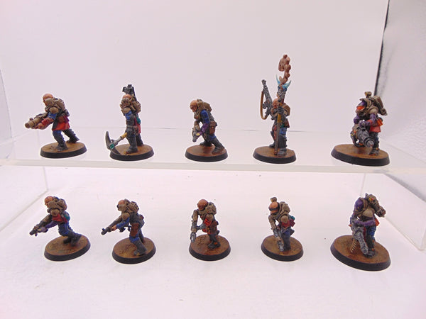 Neophyte Hybrids