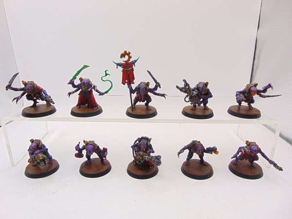 Acolyte Hybrids
