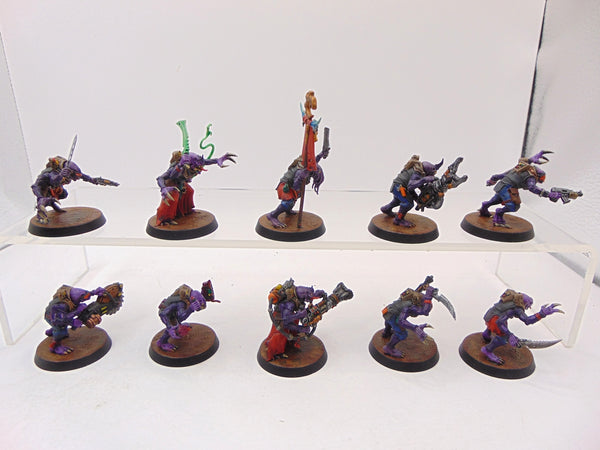 Acolyte Hybrids