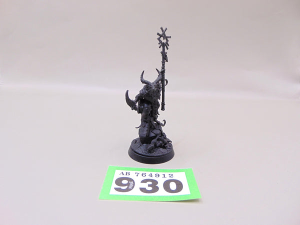 Grey Seer
