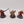 Bladeguard Veterans