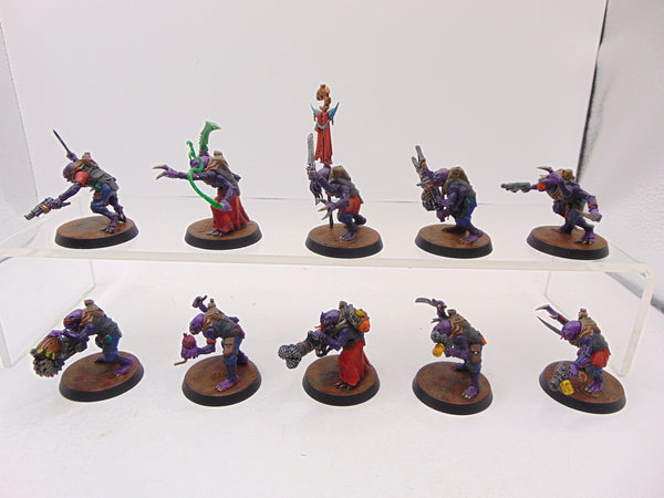 Acolyte Hybrids