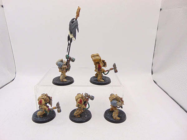 Deathwing Terminator Squad / Terminator Assault Squad