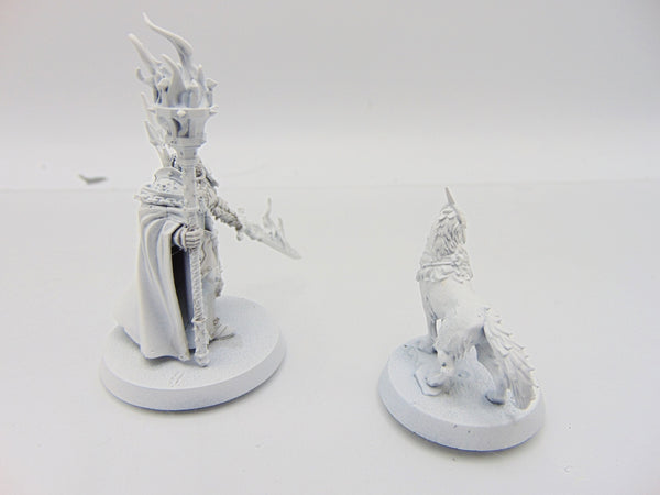 Lord Veritant with Gryph-crow