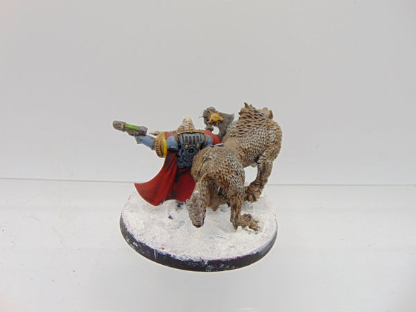 Wolf Guard Battle Leader on Thunderwolf