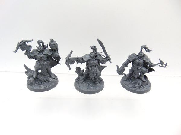 The Farstriders