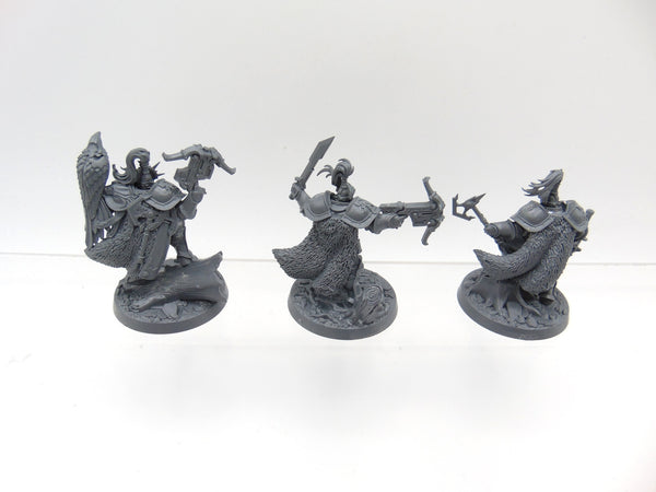 The Farstriders