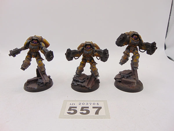 Inceptors